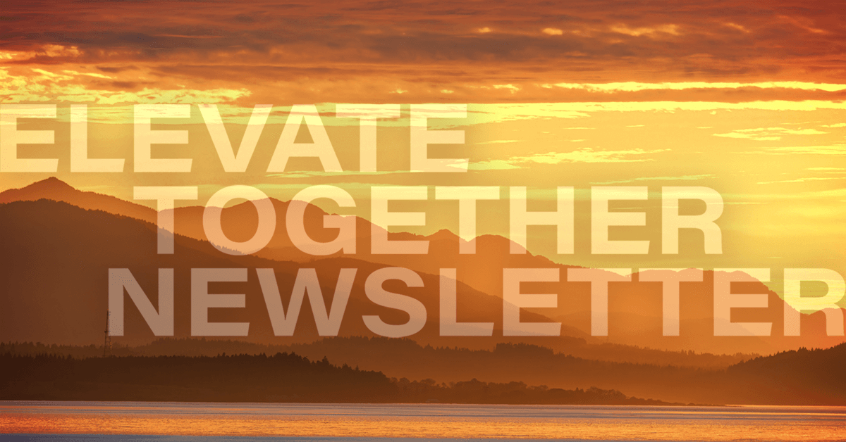 Newsletter banner